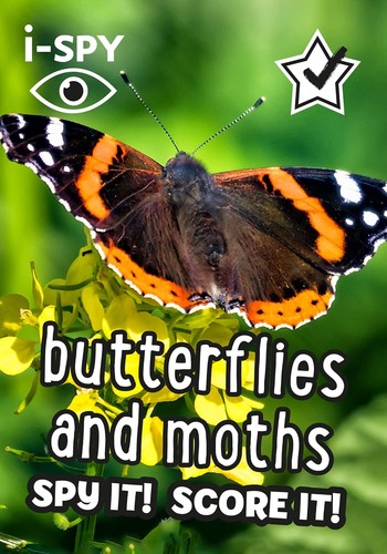 Spy butterflies and - i-spy,