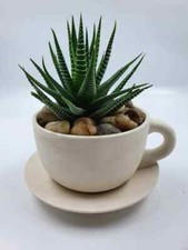 Ceramic planter with drain