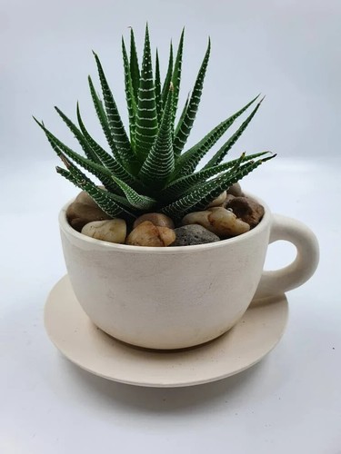 Ceramic planter with drain