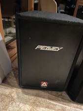 Single Peavey PA Speaker