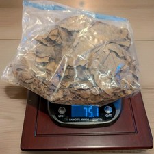 75 grams  Indian Almond Catappa Ketapang Leaf Leaves Aquarium Betta Fish Shrimp