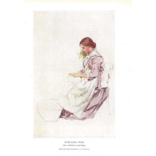 Myles birket foster shelling - birket,