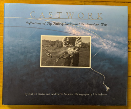 Castwork reflections fly - reflections, of