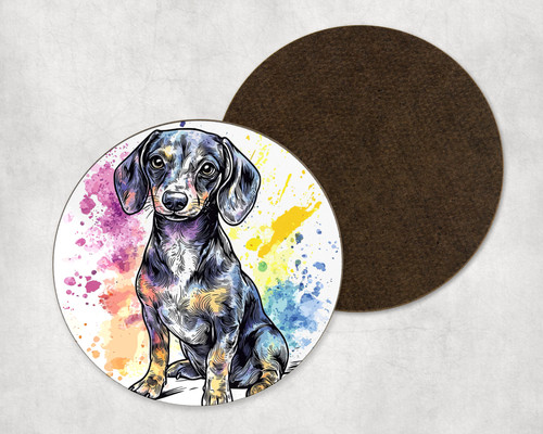 Dachshund puppy dog - dachshund,