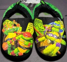 Teenage Mutant Ninja Turtle