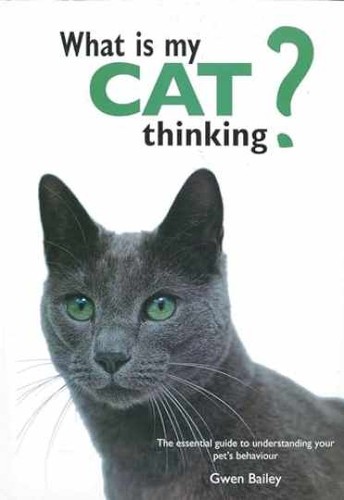What cat thinking - is,
