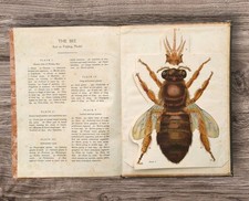 Vintage 1930s Worker Bee