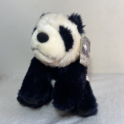 Endangered species panda - panda, soft