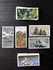 * INCLUDES ERROR CARD * 1992 ‘Natural Neighbours’ Brooke Bond Tea Cards Full Set