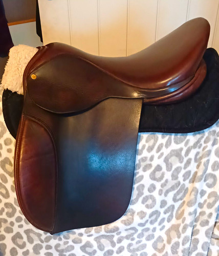 Specialist saddles inch - 17, gp