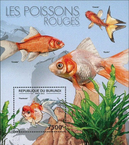 Goldfish stamp pearlscale - goldfish,