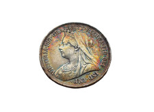 Beautifully Toned | Queen