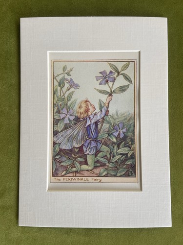 Periwinkle flower fairy - ‘periwinkle’,