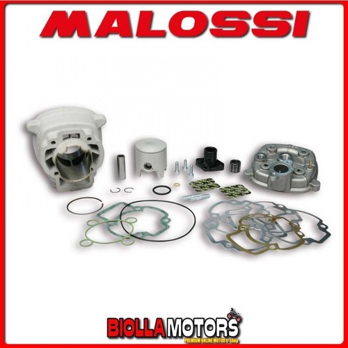 318455 cylinder kit malossi - 318455,