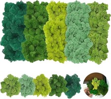 5PCS Reindeer Moss Preserved Dried Craft Decoration Wreath Green & Natural