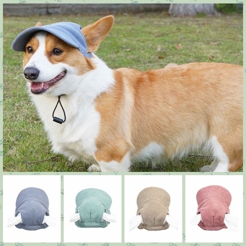 Dog baseball cap - baseball,