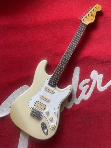 Fender sunn mustang - fender, mustang’