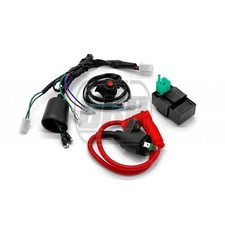 Genuine OEM Wiring Loom