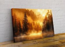 Golden Lake and Trees Sunset Landscape Framed Canvas Wall Art Picture Print