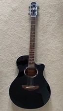 Yamaha APX500 Performance