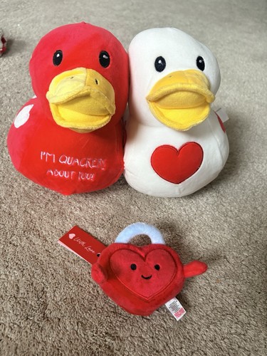 Valentine day duck - valentine’s, plush