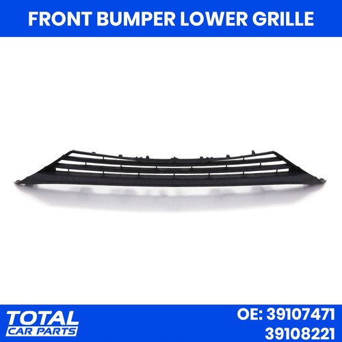 Lower radiator grille - lower, front