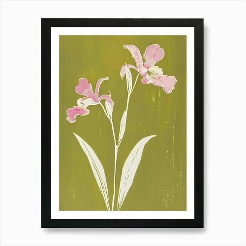 Pink green monkey orchid - green,