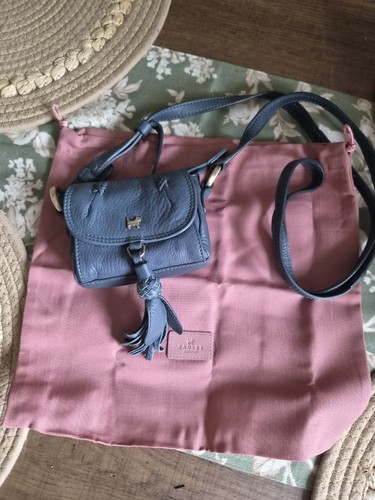 Radley mini blue leather - mini,