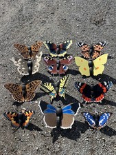 Garden Butterfly Decorations by Eos Griffiths 