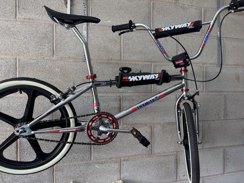Skyway bmx bike 20in silver - skyway, ta