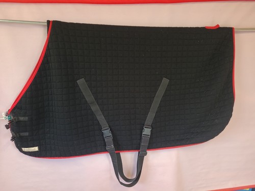 Thermatex wicking cooler - cooler, rug