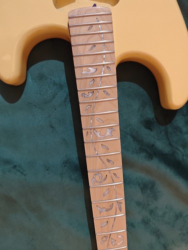 Electric guitar project body - electric,