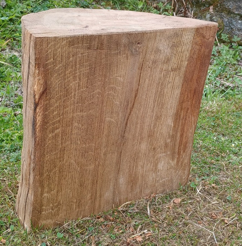 Tree stump seat log table