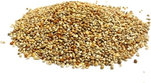 750g quail seed mixed cage - quail,