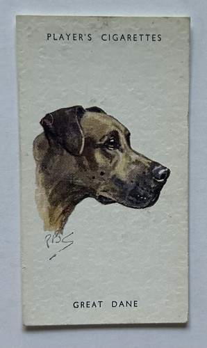 Player dogs heads - dogs’,