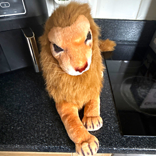 Plush lion soft toy stuffed - lion,