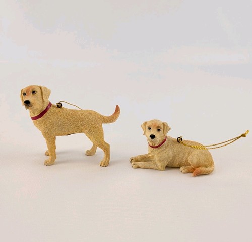 Set yellow labrador - set,