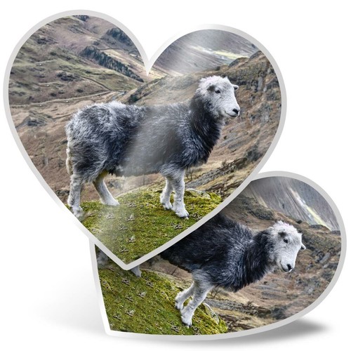Heart stickers cm - 2,