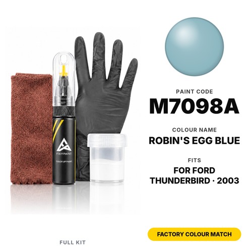Touch paint for ford - up,