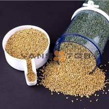 Bird Feeder Food Water Feeding