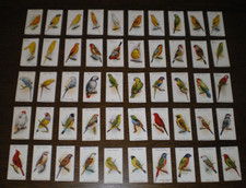 Full set PLAYERS AVIARY AND