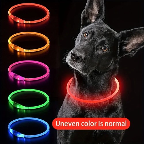 Flashing led light dog - flashing,