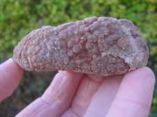 RARE Hollow Rattler CHALCEDONY