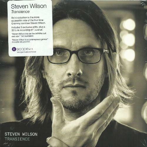 Steven wilson transcience - steven,