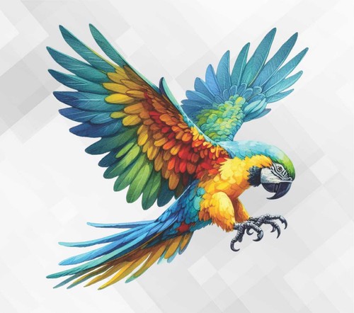 Colorful parrot wall vinyl - colorful,