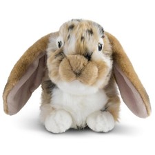Living Nature Brown Dutch Lop