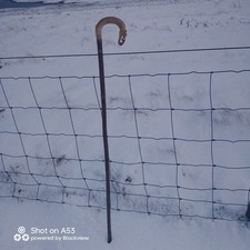 Antique Rams Horn Shepherds Crook Walking Stick Thistle Carved Handle 44 inch 