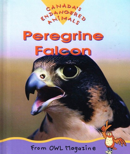 Peregrine falcon endangered - peregrine,