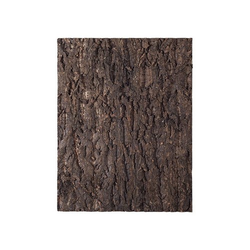Repti zoo reptile - zoo,