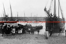F015583 landing pilchards - f015583, st